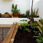 Penthouse Terrace 公寓 马拉加