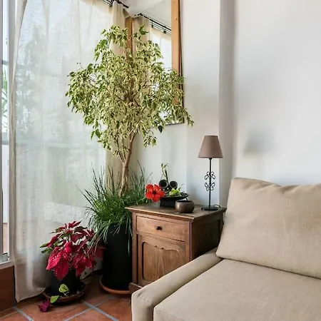 Penthouse Terrace Apartman Málaga