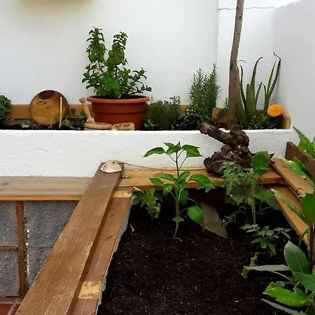 Penthouse Terrace Apartman Málaga