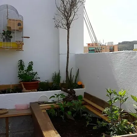 Penthouse Terrace Malaga
