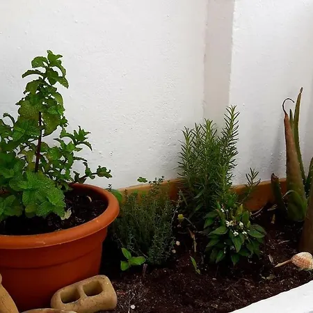 Penthouse Terrace * Malaga