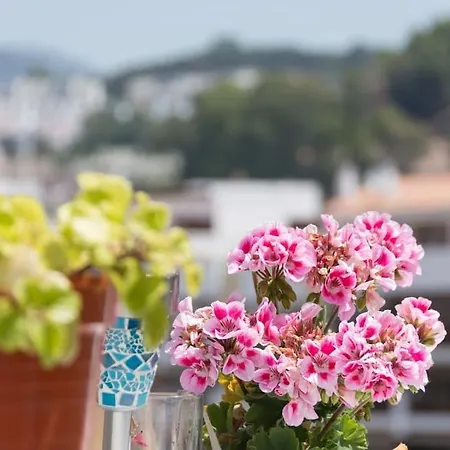 Penthouse Terrace * Málaga