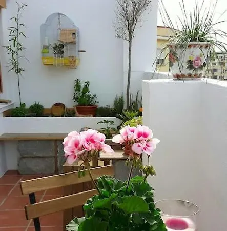 Apartman Penthouse Terrace *