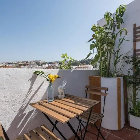 Apartment Penthouse Terrace Malaga